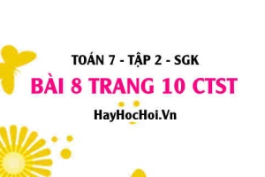 Bài 8 trang 10 Toán 7 Tập 2 Chân trời sáng tạo